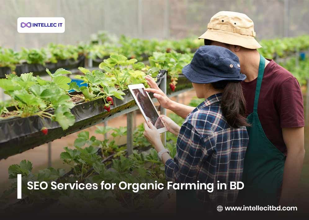 SEO Services For Organic Farming In BD