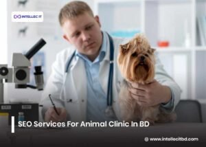 SEO Services For Animal Clinic